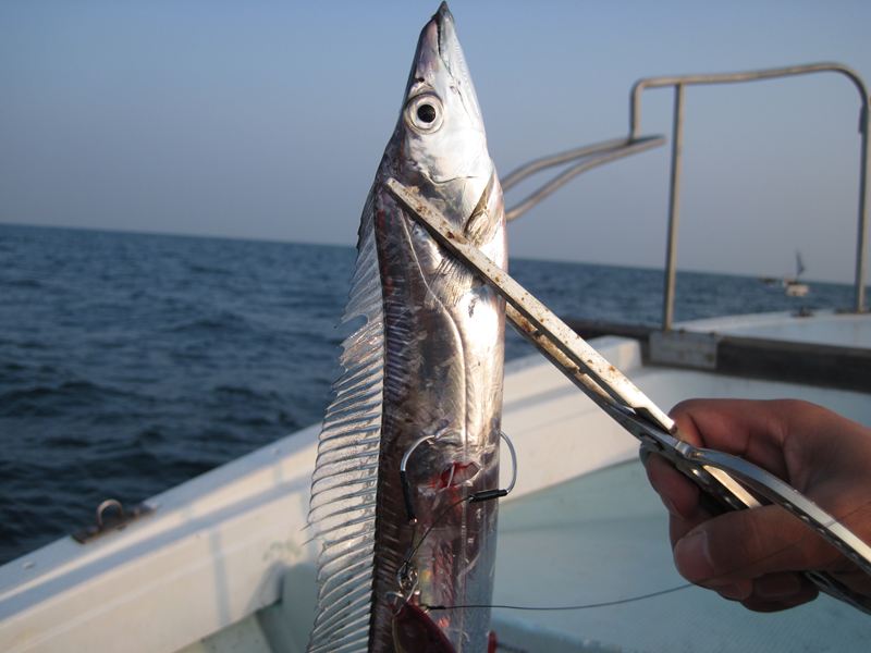 2 8 松山タチウオジギング Komoブログ