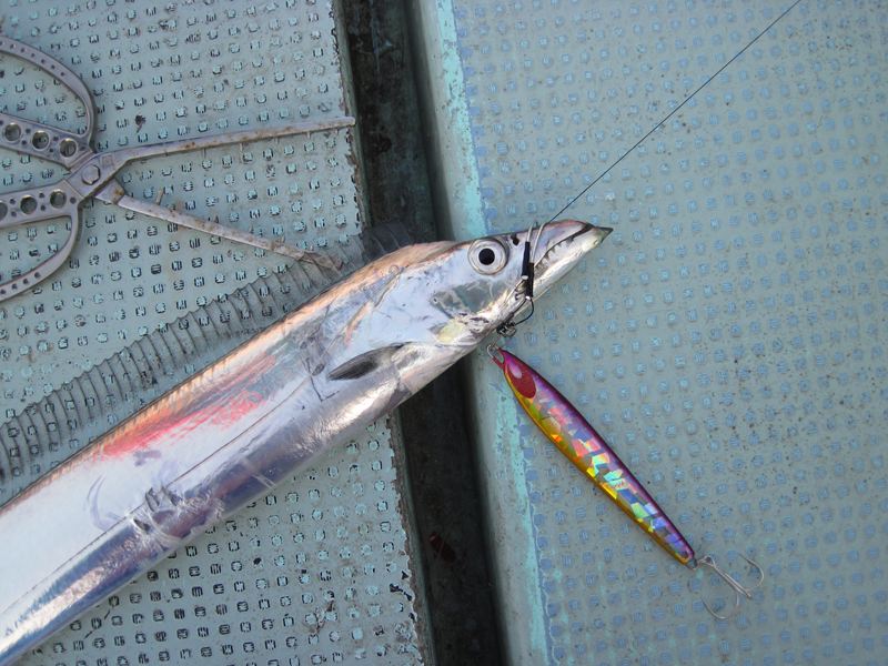 2 8 松山タチウオジギング Komoブログ